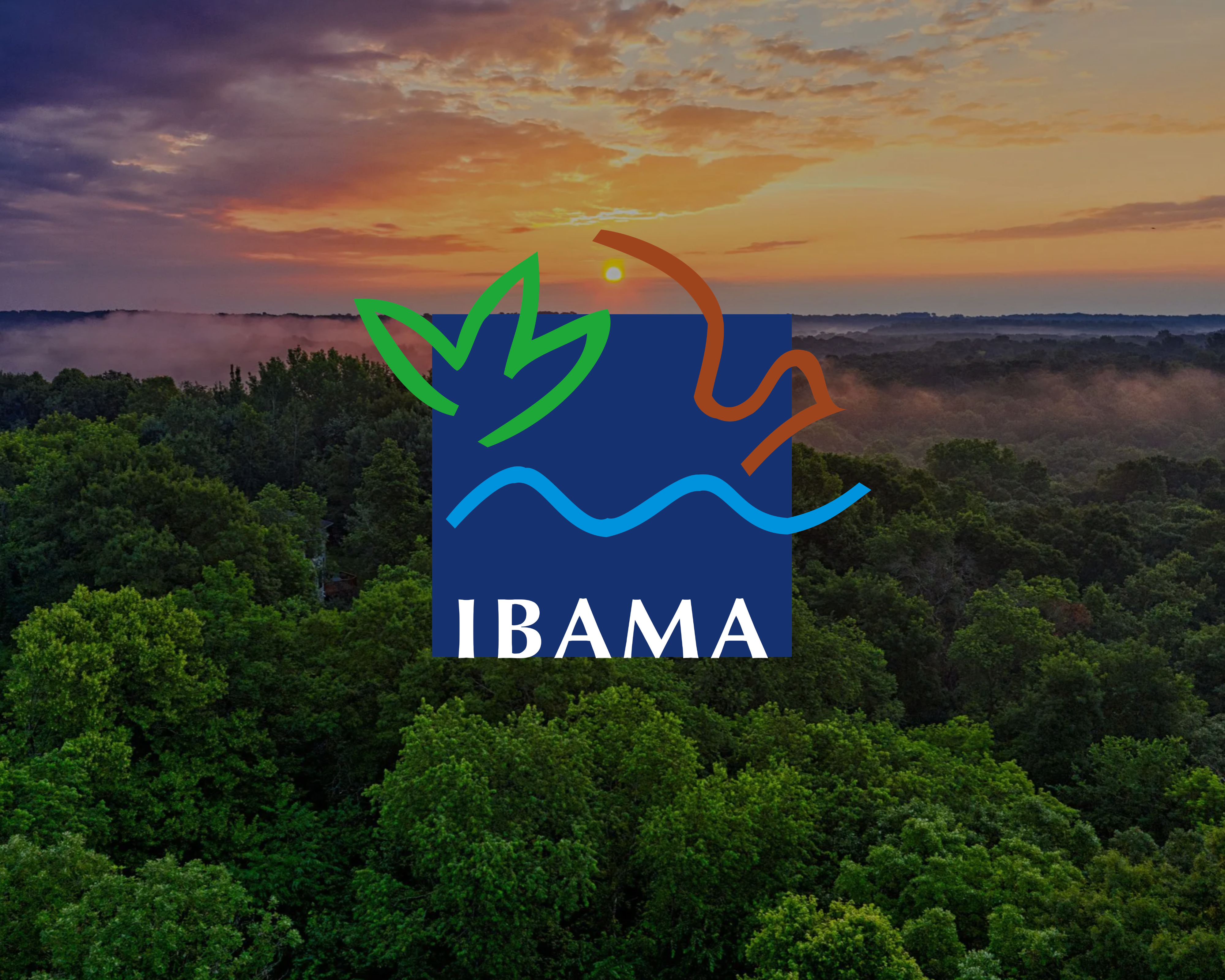 Marca do Ibama sobre a floresta